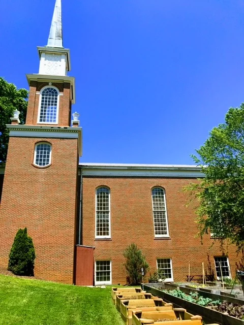garden 1.jpg