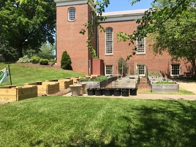 garden 2.jpg