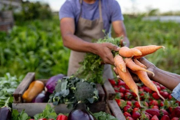 istockphoto-1940005387-612x612.jpg