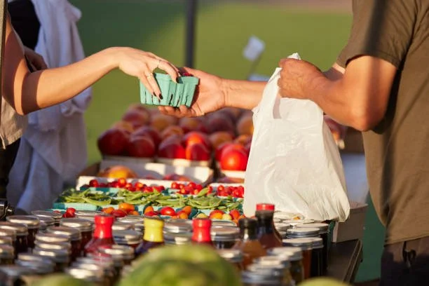 istockphoto-1479535214-612x612.jpg