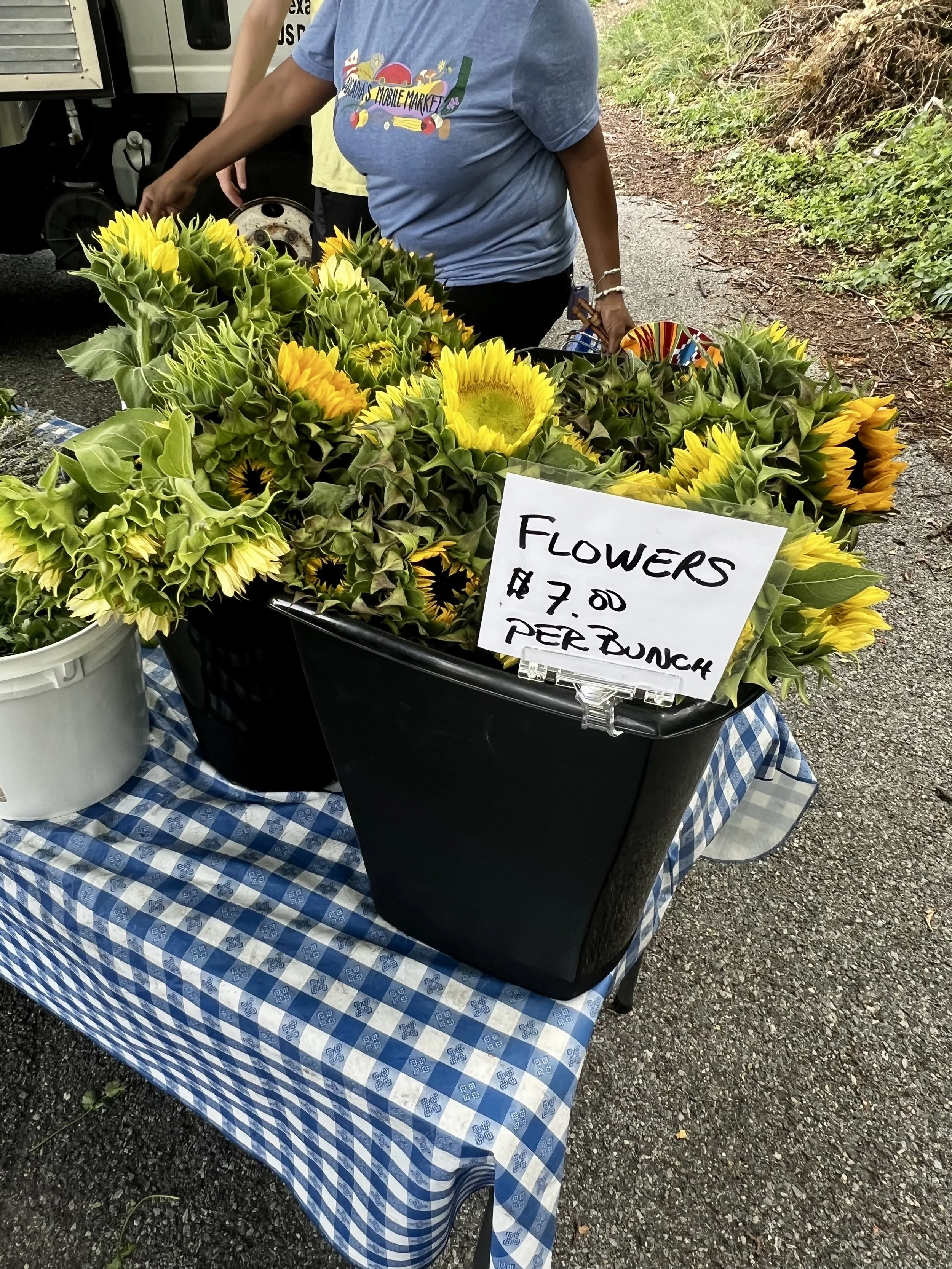 IMG_4287.jpeg