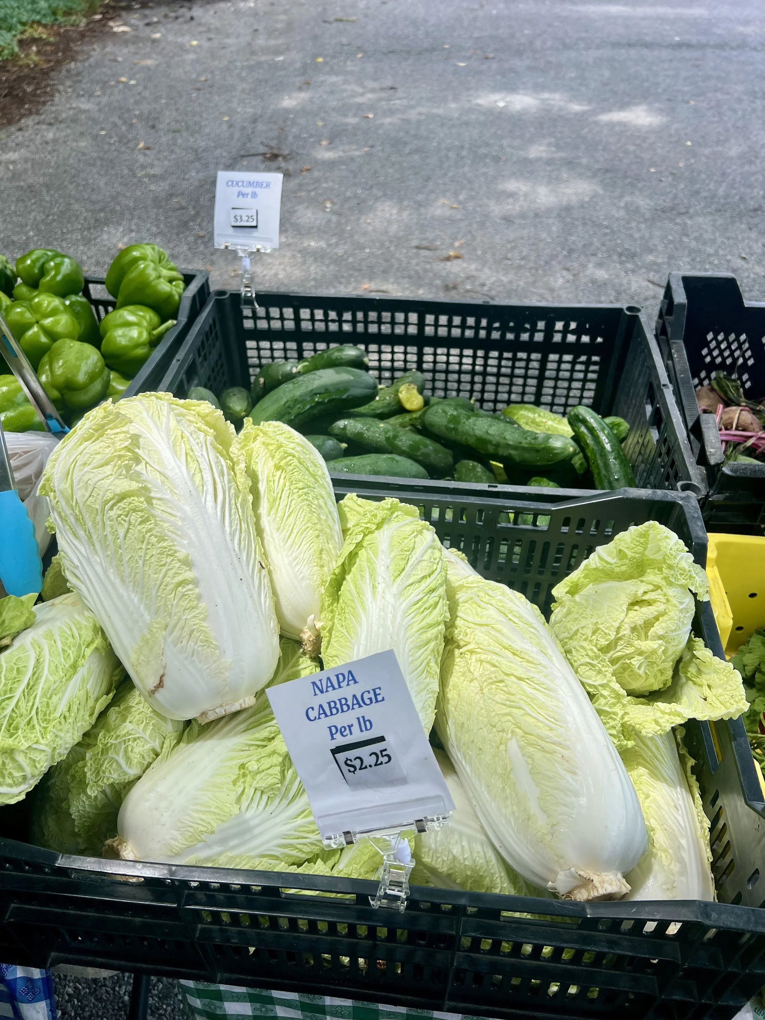 cabbage.jpeg