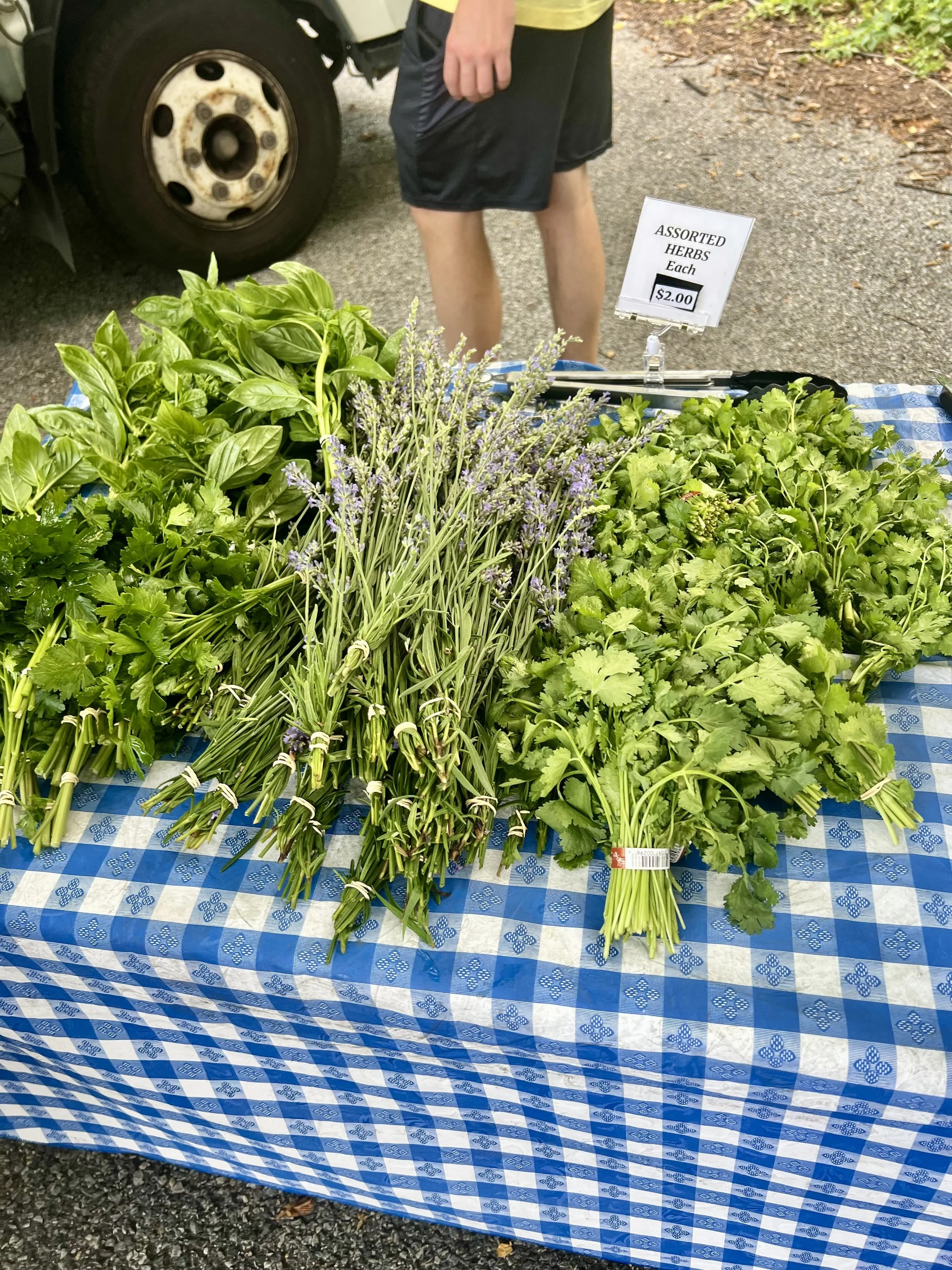 herbs.jpeg
