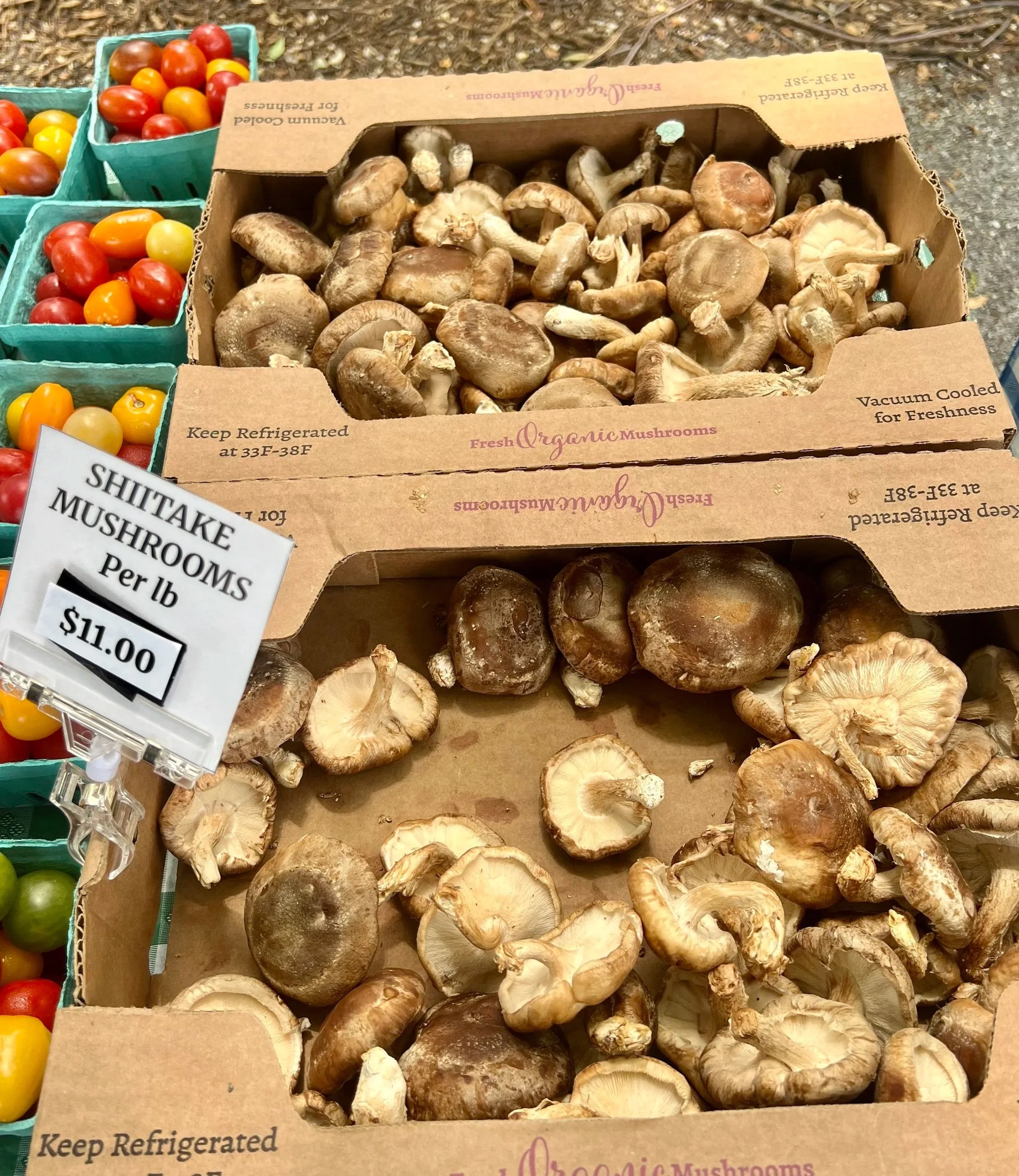 shiitake+mushrooms.jpg