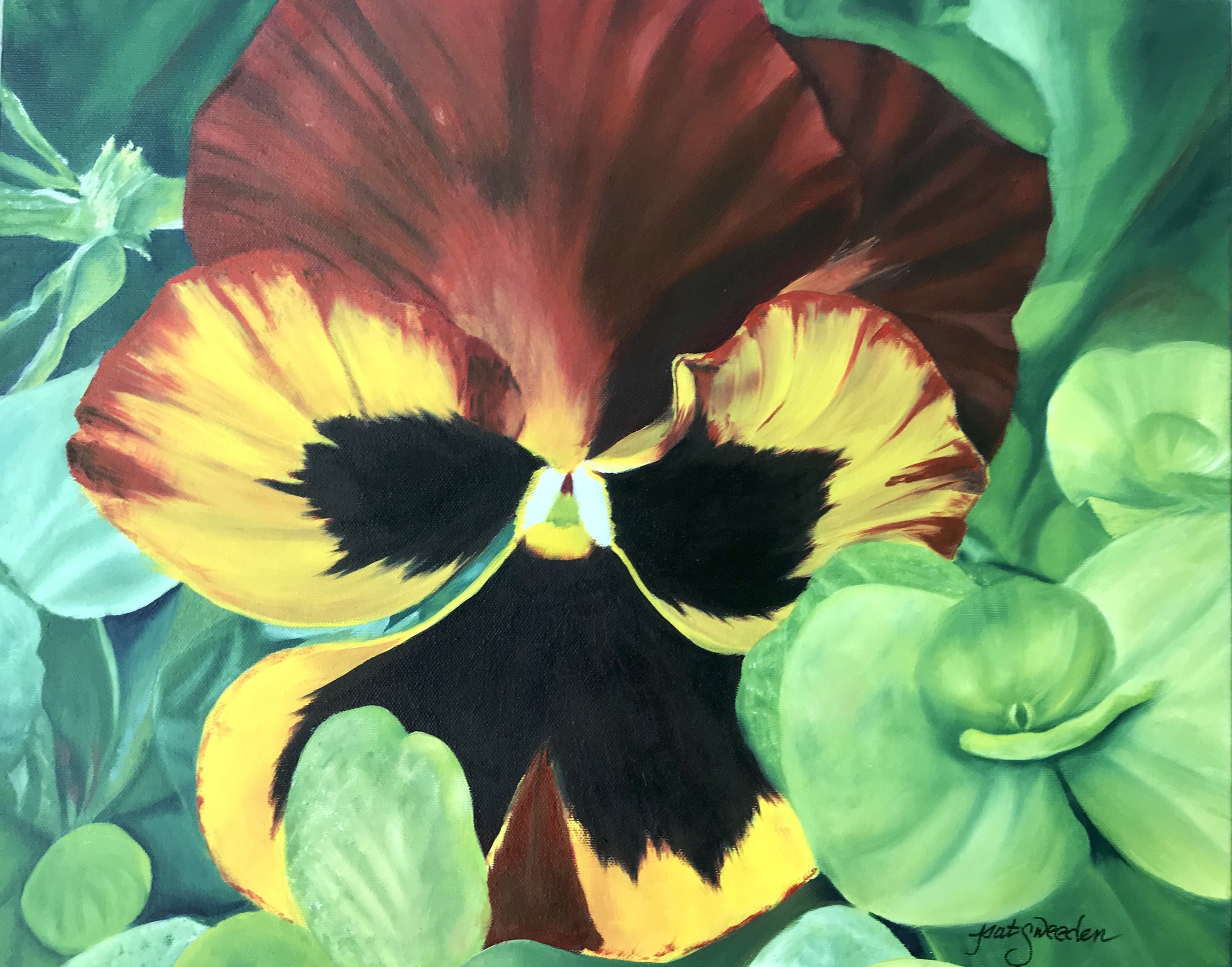 Mighty Pansy