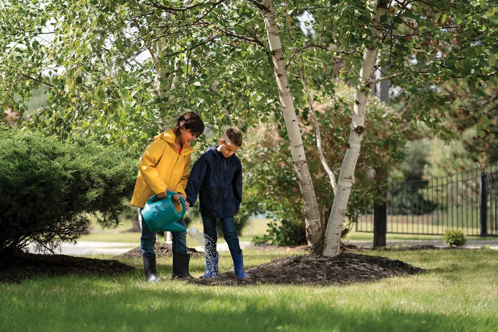 Tuition & Fees — Walden Oakville