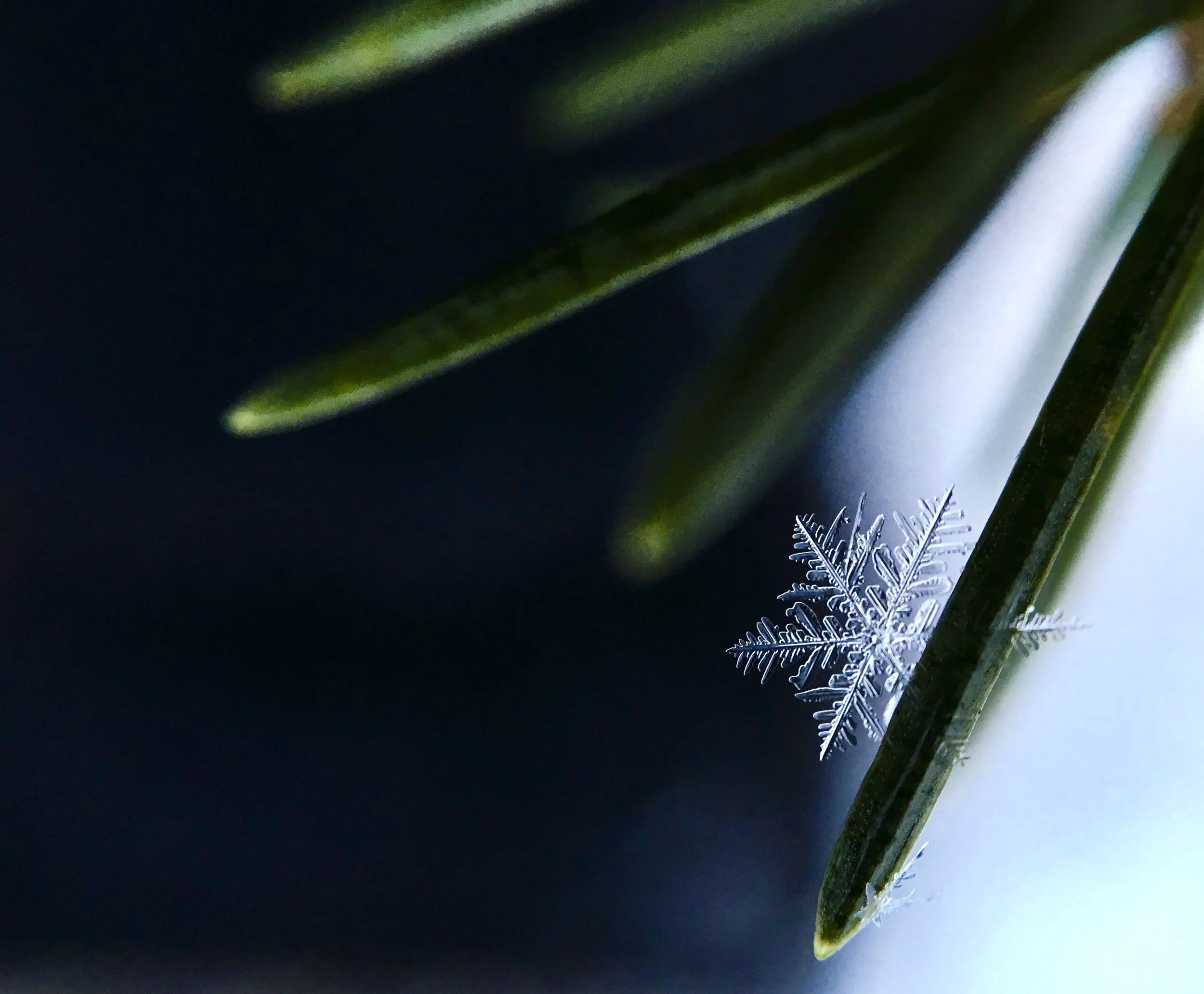 What’s Size Got To Do With It - Smaller Classes