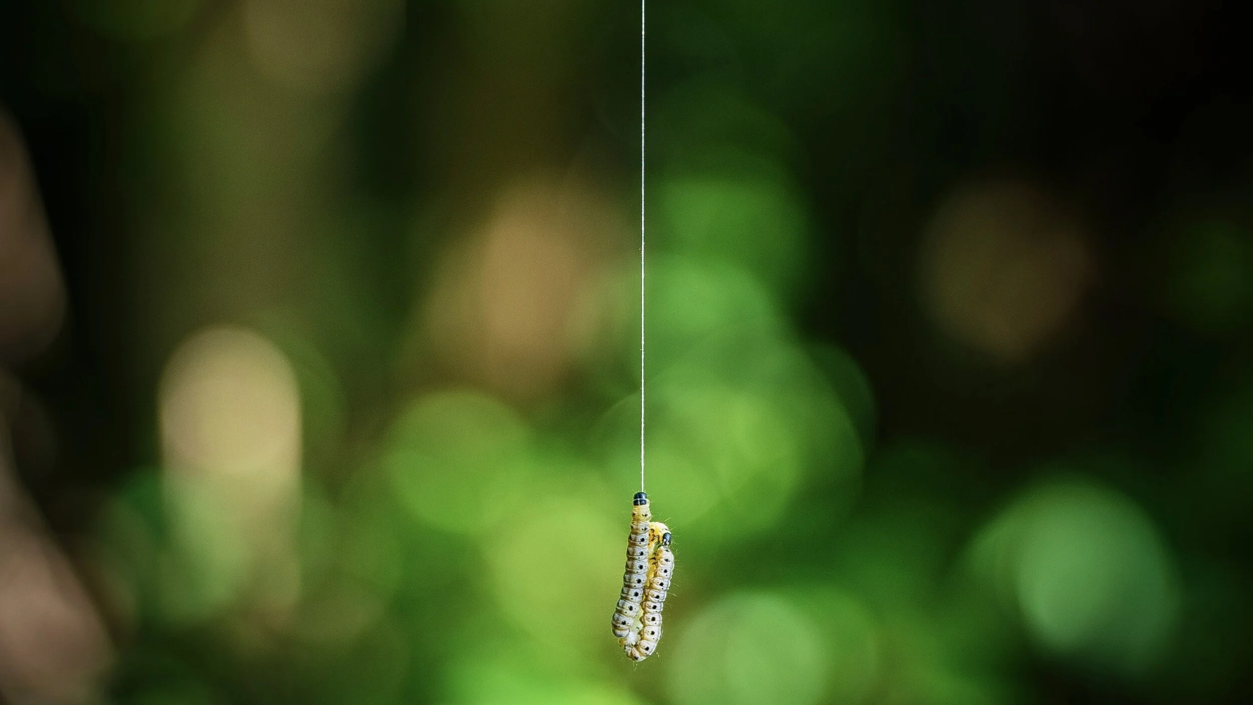 5 Practical Steps To Manage Feeling Overwhelmed