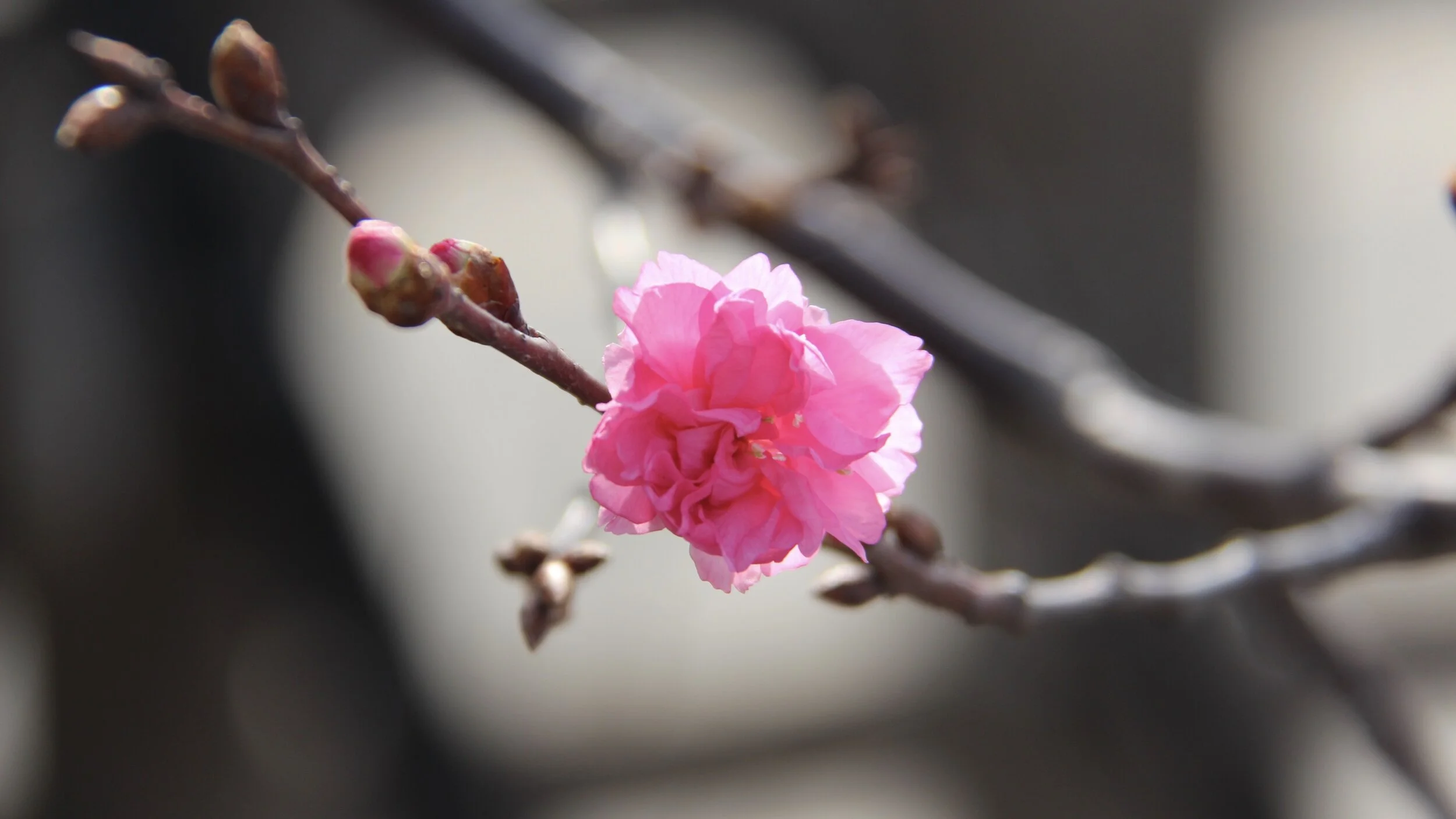 Where Do We Go From Here? Some Thoughts On How We Help Each Other