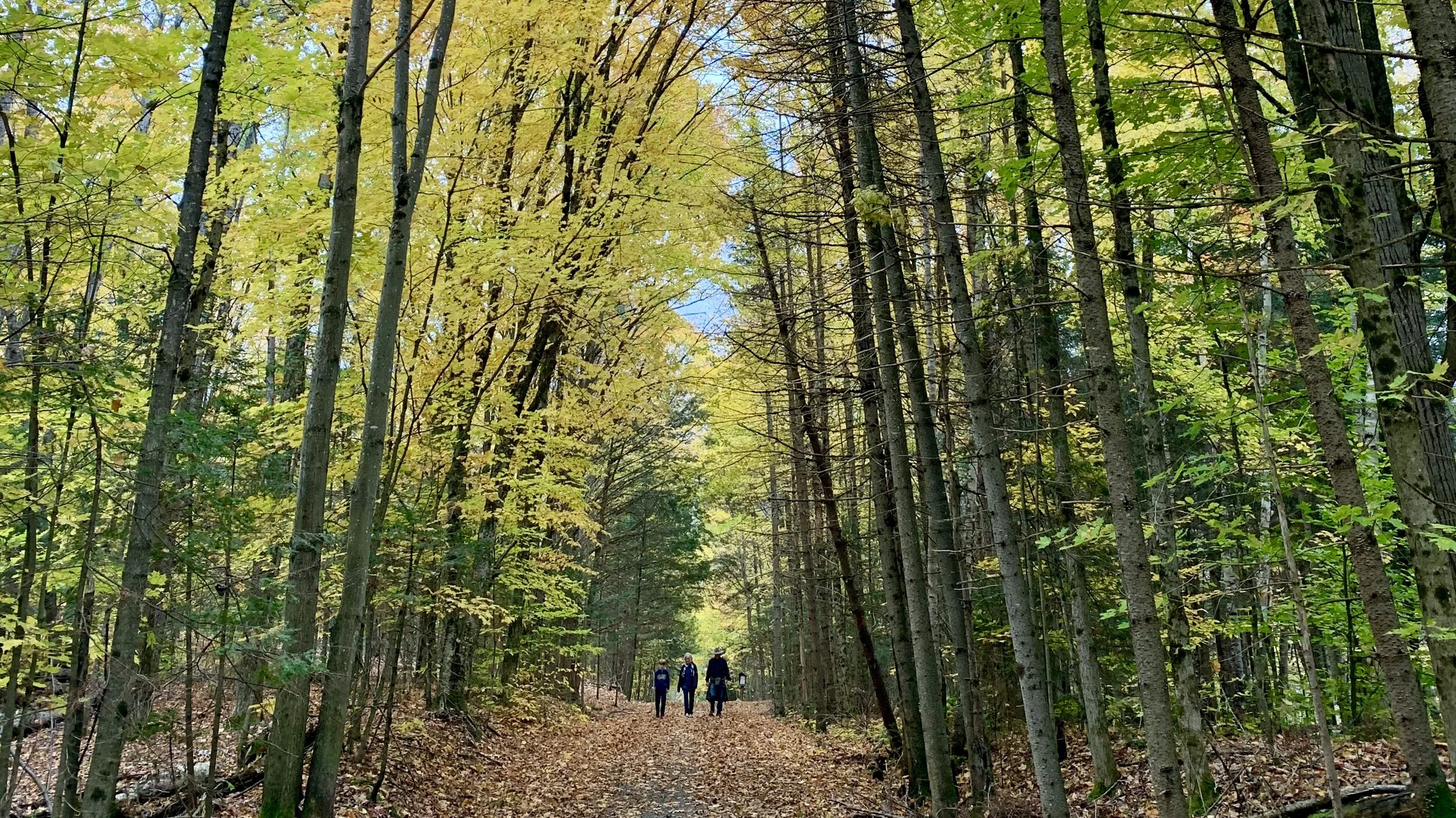 Why I founded Walden: Creating a new educational eco-system