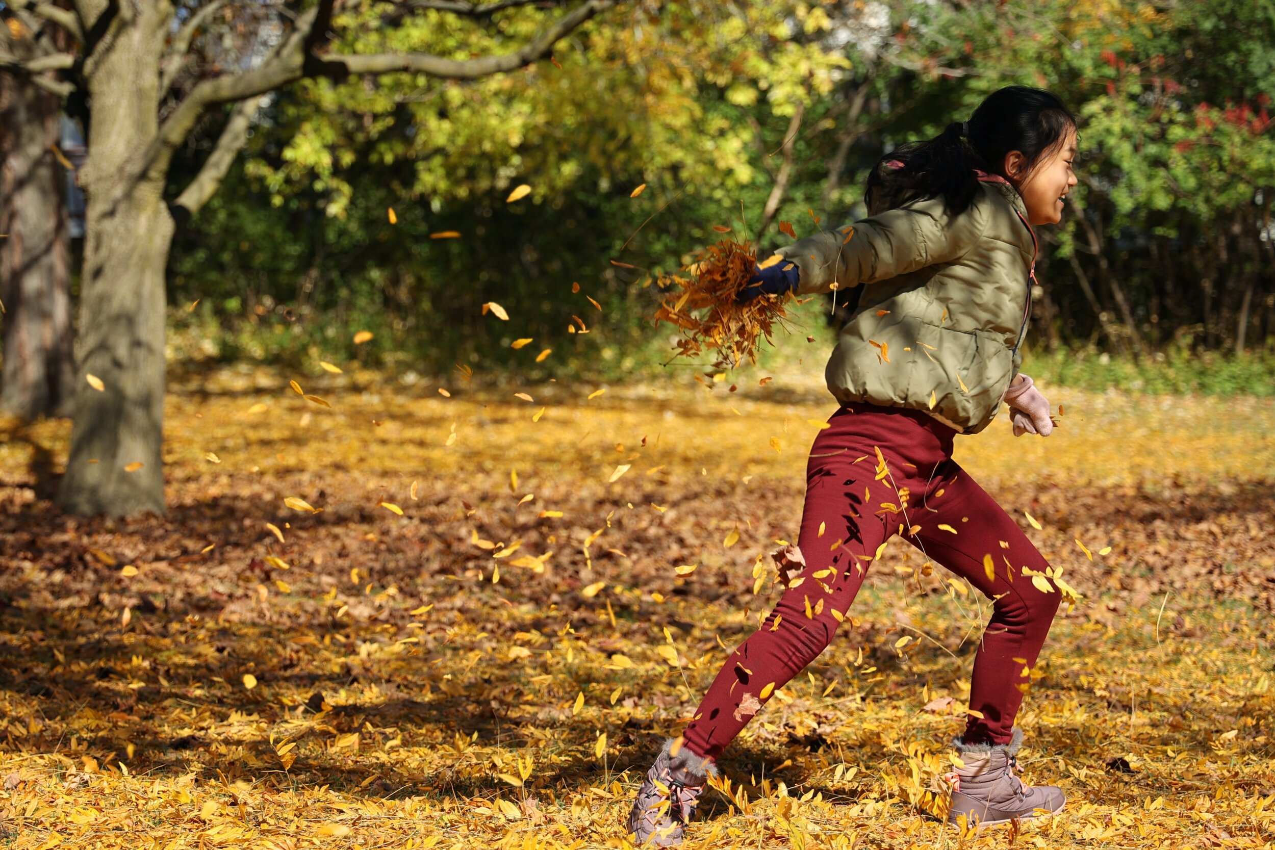 Innovation in education: where do we go from here?