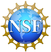 nsf.png