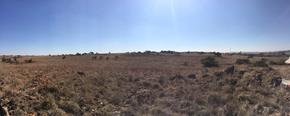 New research challenges the antiquity of the Cradle of Humankind 