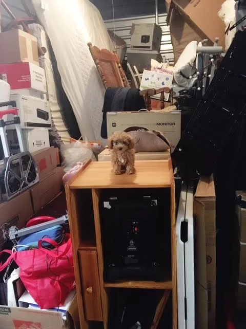 storage.jpg