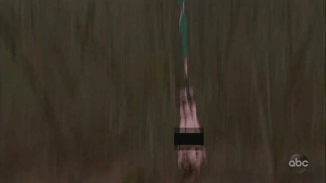 bungee gif.gif