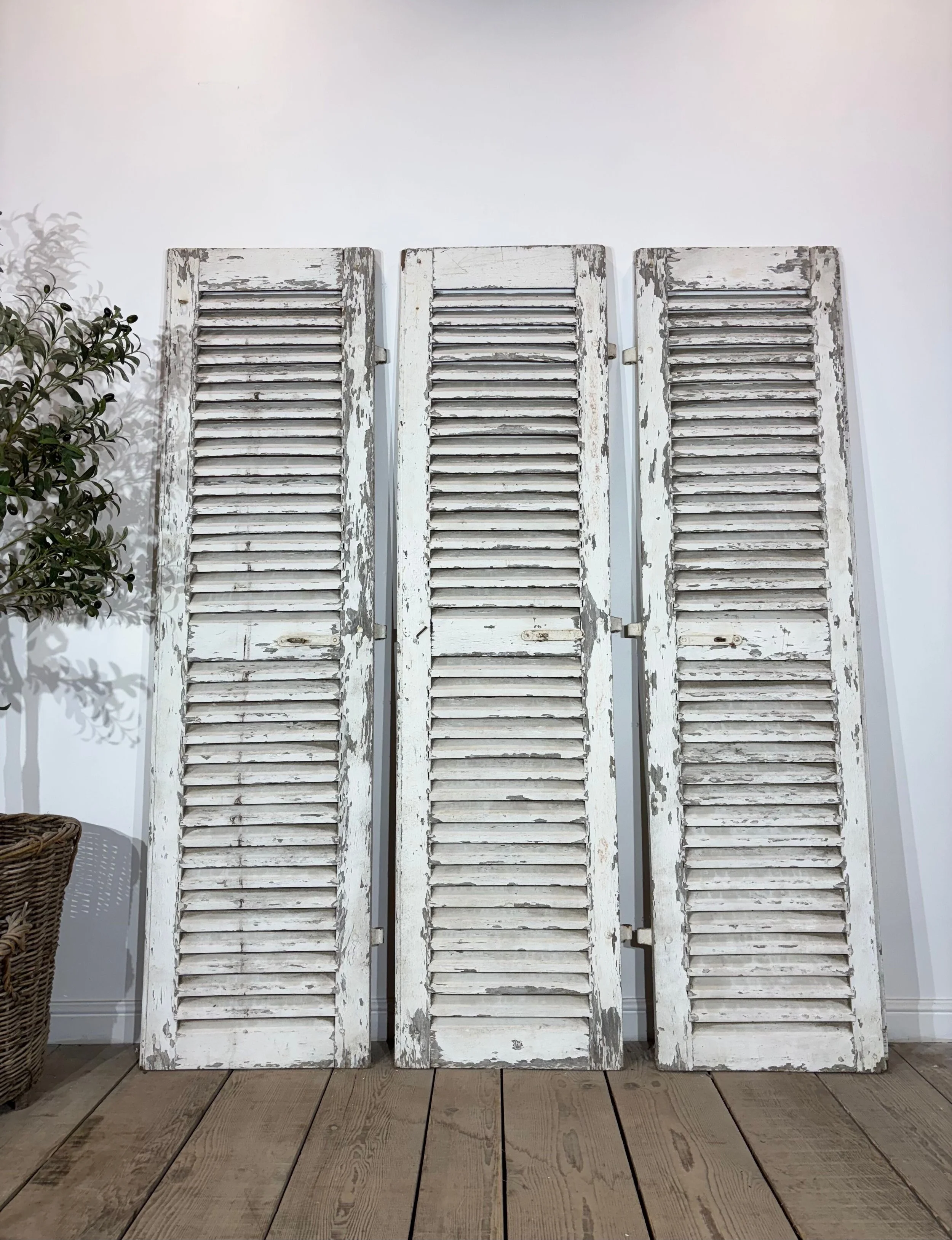 Set Of Three Antique French Original Painted Shutters