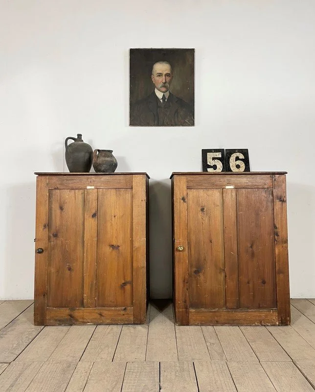 Pair Of Antique Museum Cabinets