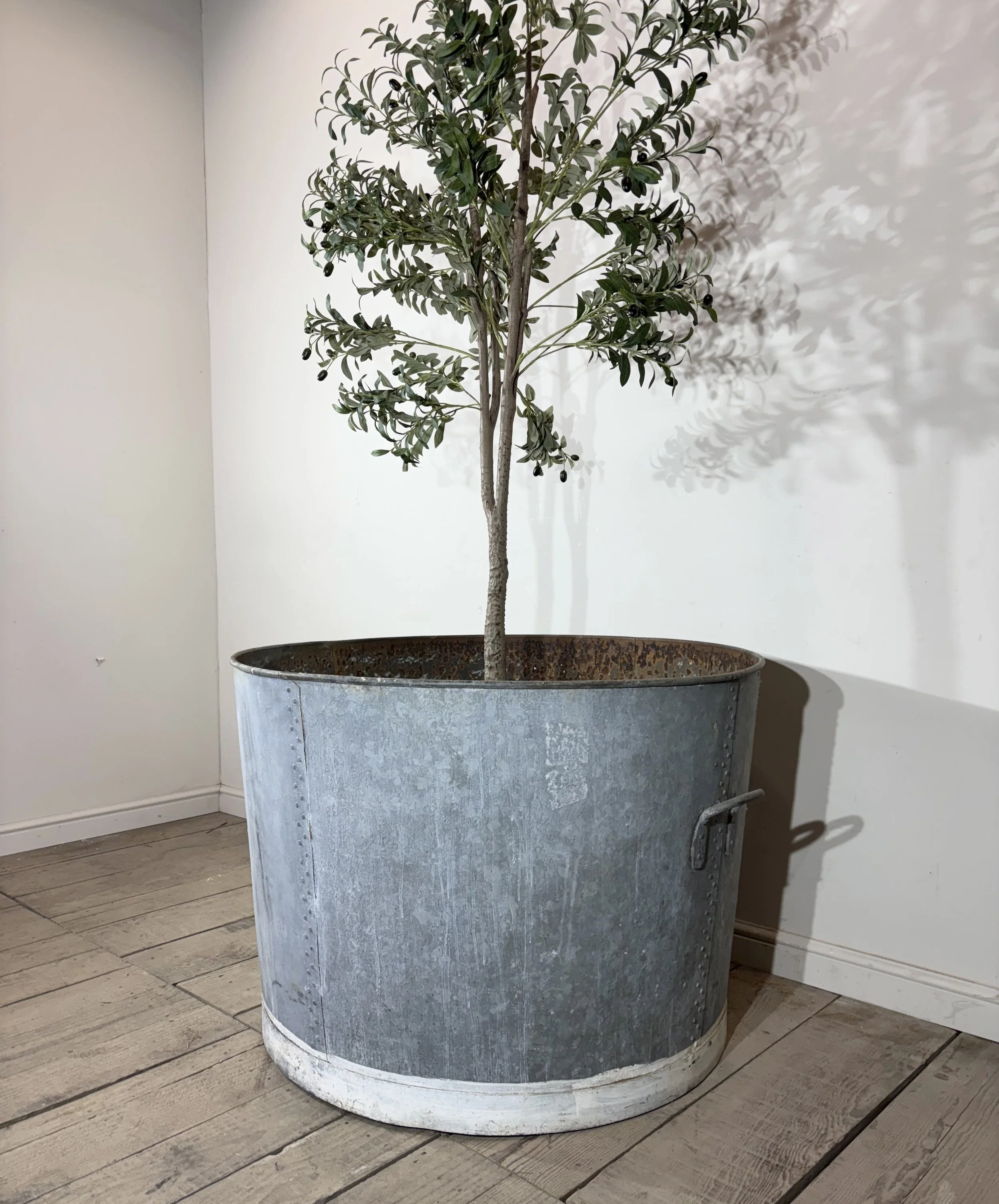 Photo 30-12-2024, 15 47 06.jpg