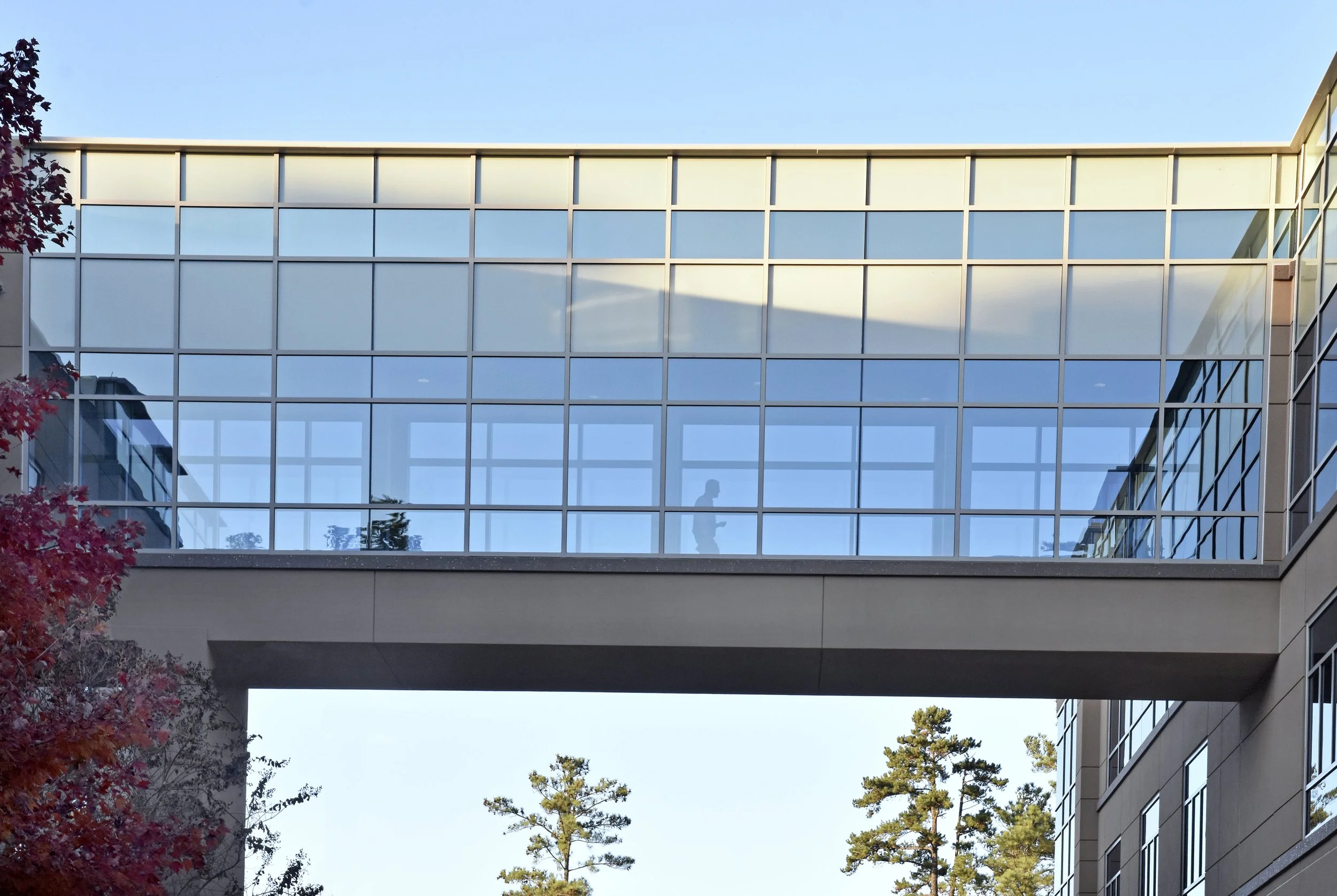 Pedestrian Bridge HR.JPG