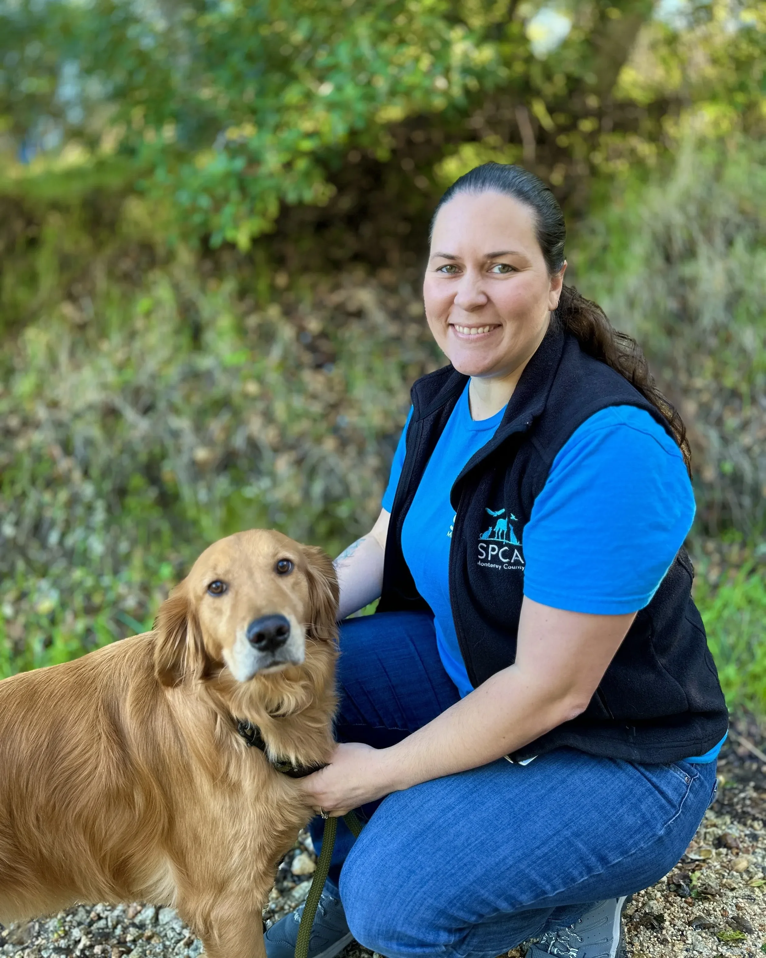 Board Members — California Council for Wildlife Rehabilitators