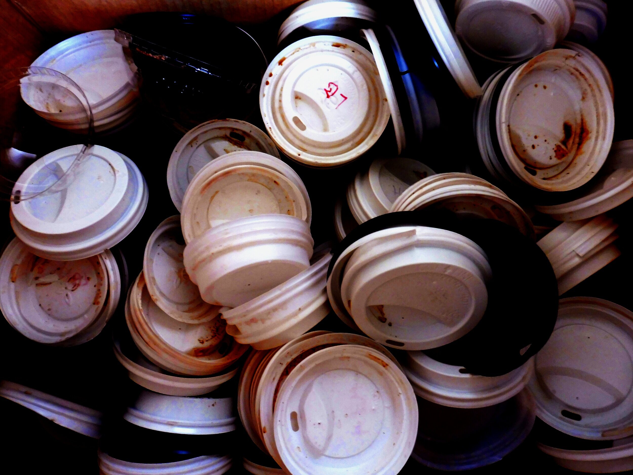 lids+ps.jpg