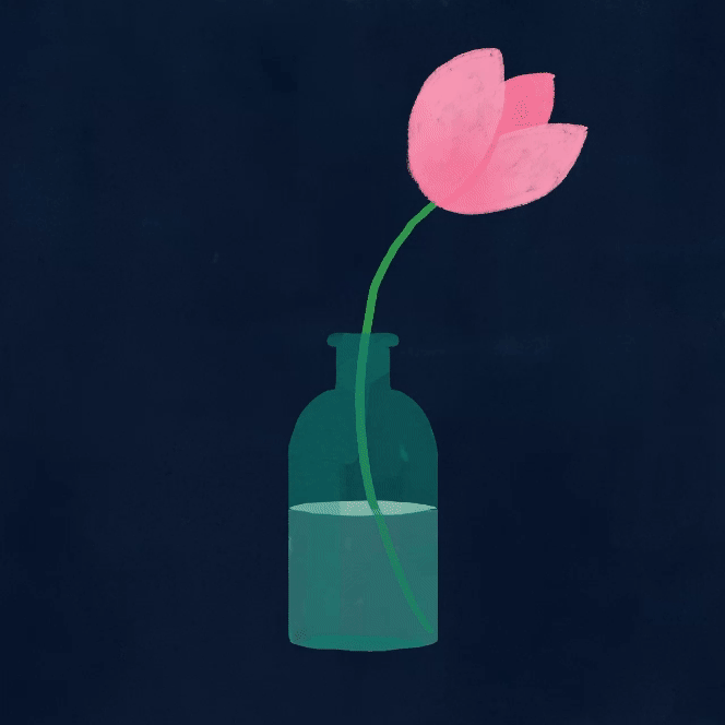 looping morph video full colour 720.gif