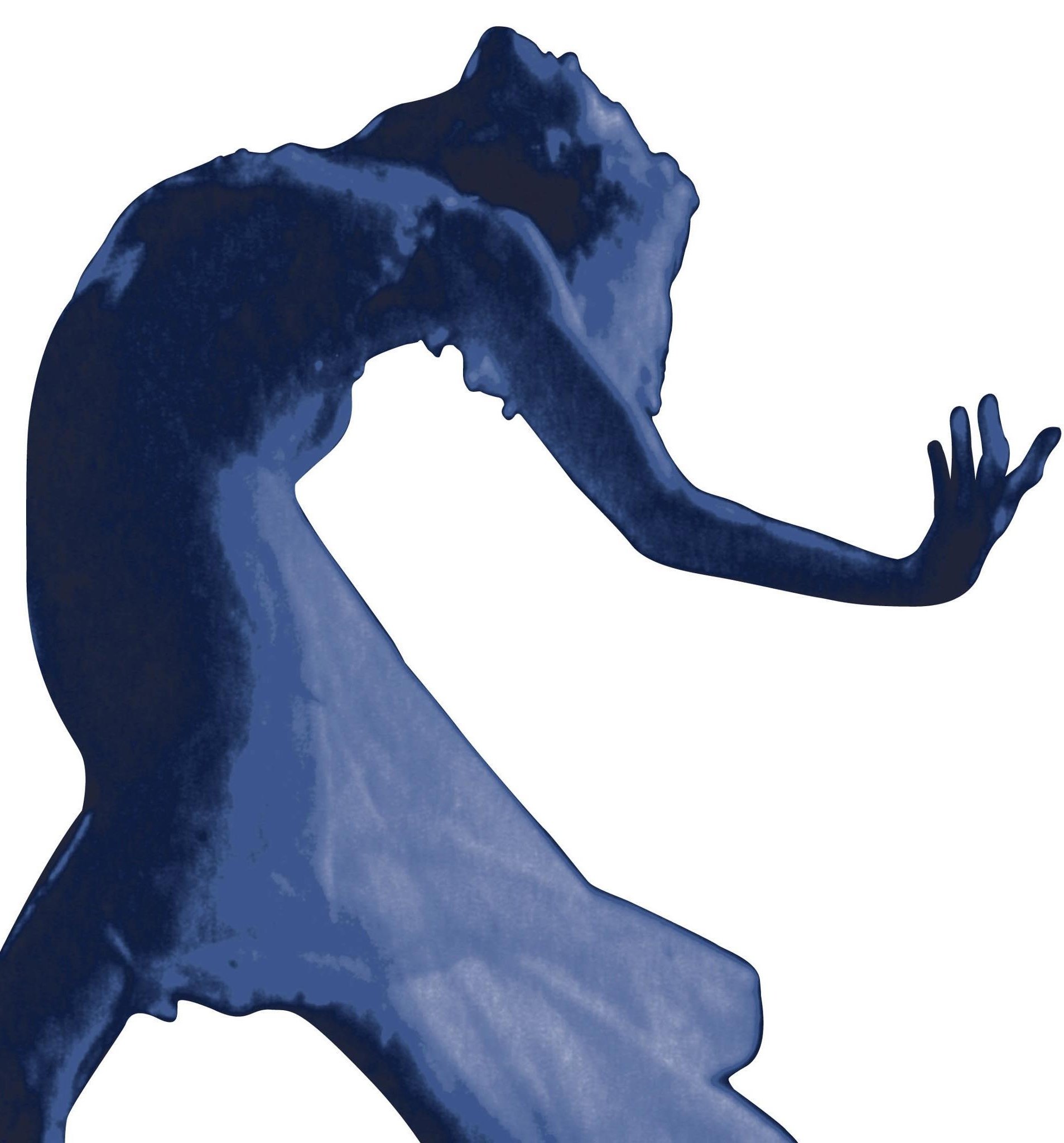 VKIBC-facing-left.jpg