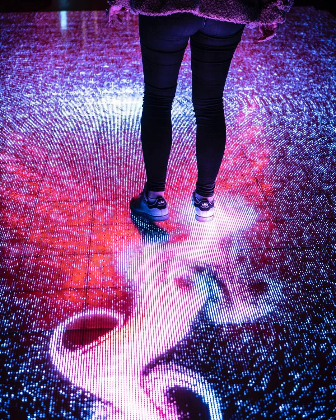 wndr-floor6.jpg