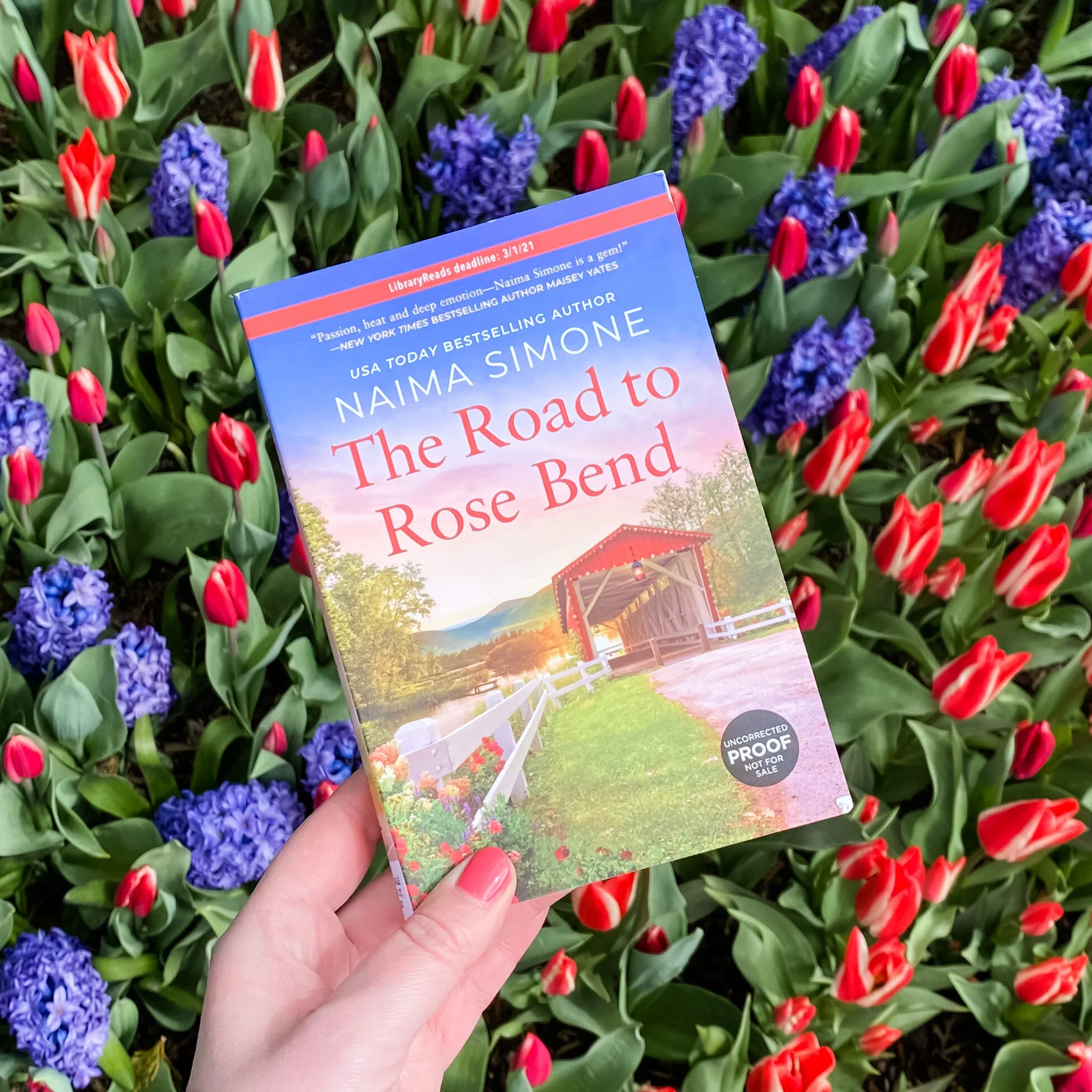 The Road to Rose Bend