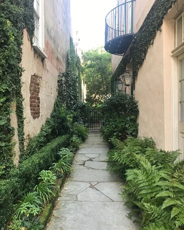 Elegant and serene garden alley.
#aihamptons, #charleston, #historicdistrict, #gardendesign