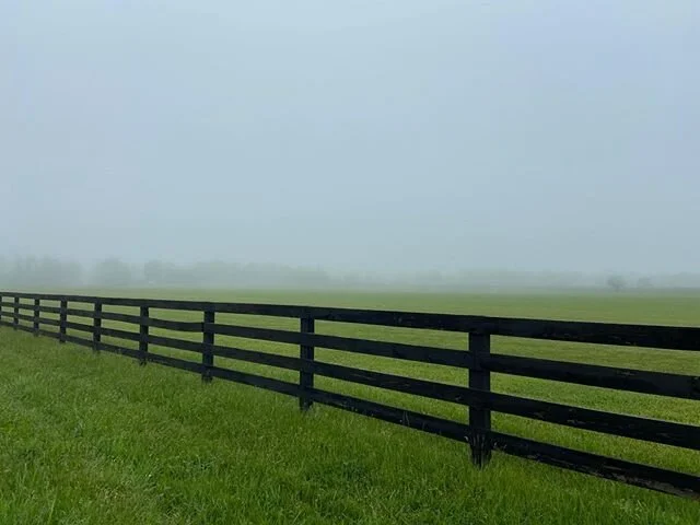 Foggy Bridgehampton #aihamptons