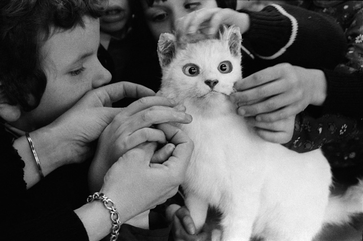 12. School for the Young Blind, Vertou, France, 1981