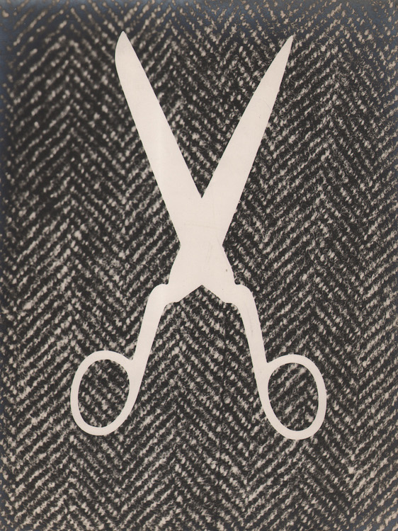 5. Untitled (photogram), 1930s