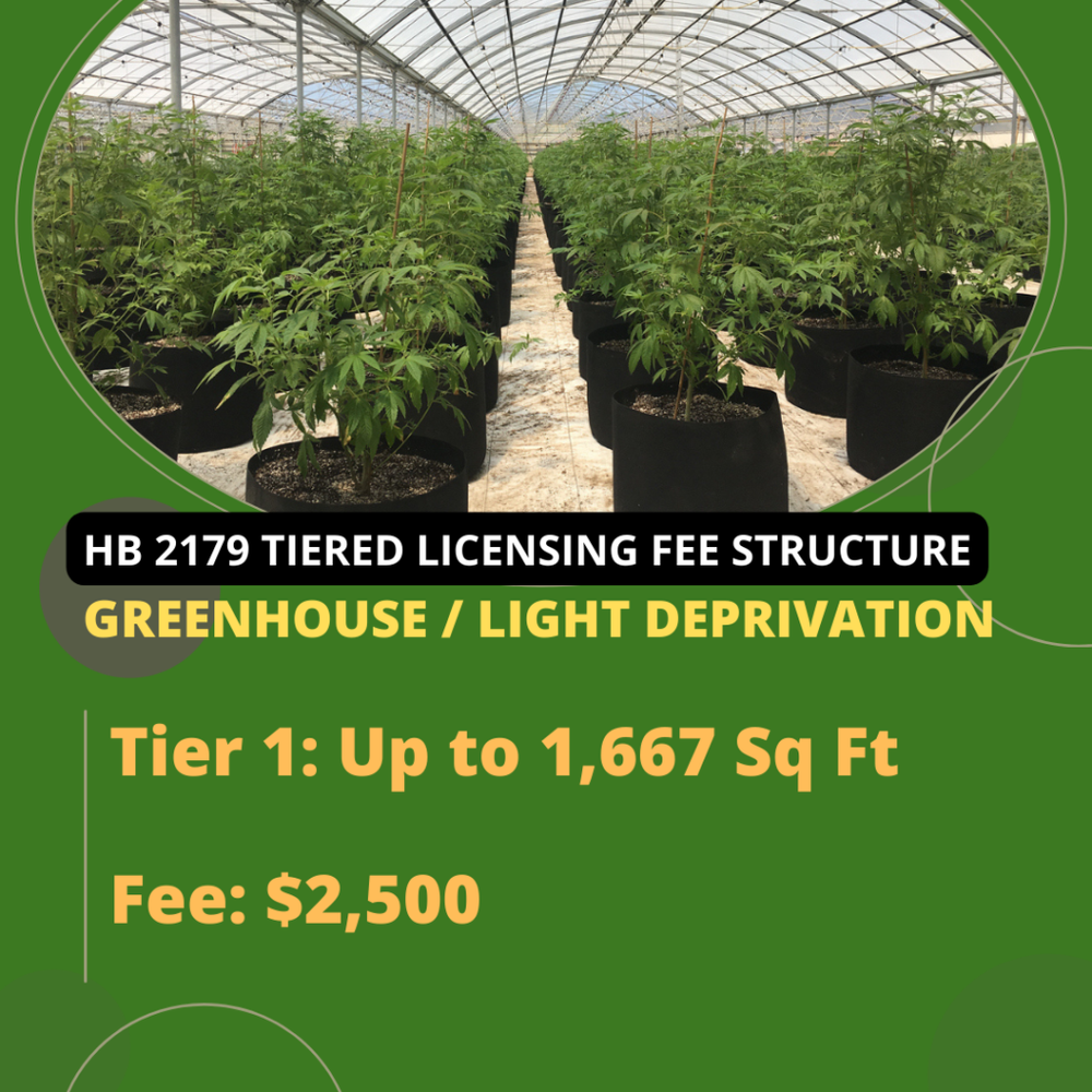 Greenhouse-Grower-Tier-1-Oklahoma-Medical-Marijuana-Attorney-Stephen-Cale-Law-Office-1024x1024.png