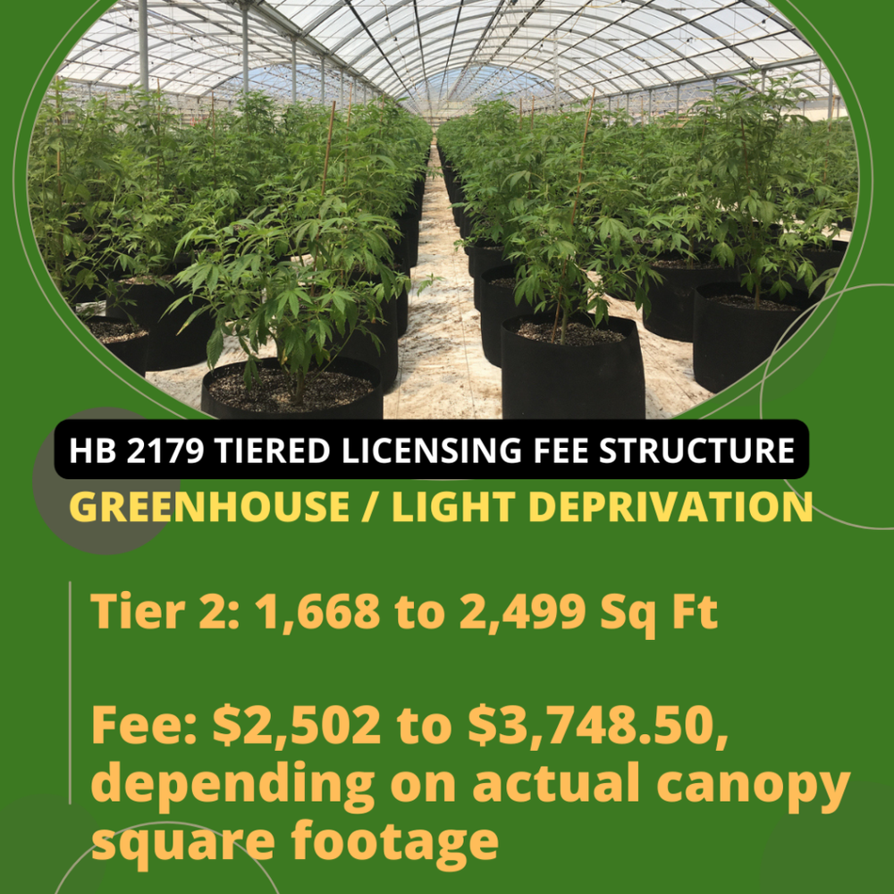 Greenhouse-Grower-Tier-2-Oklahoma-Medical-Marijuana-Attorney-Stephen-Cale-Law-Office-1024x1024.png