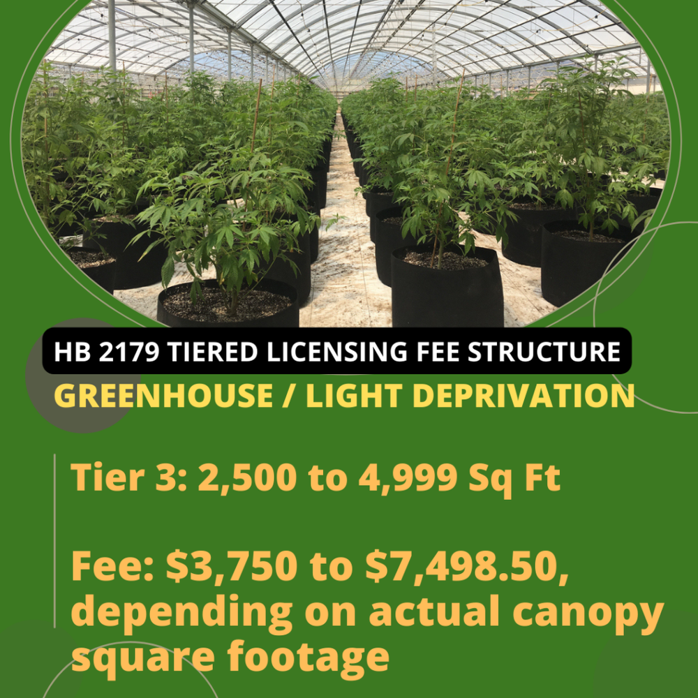 Greenhouse-Grower-Tier-3-Oklahoma-Medical-Marijuana-Attorney-Stephen-Cale-Law-Office-1024x1024.png