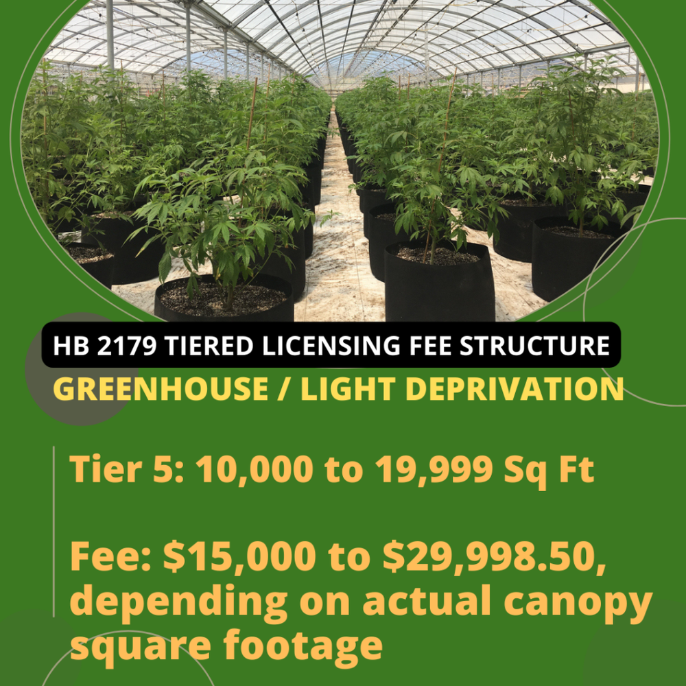 Greenhouse-Grower-Tier-5-Oklahoma-Medical-Marijuana-Attorney-Stephen-Cale-Law-Office-1024x1024.png