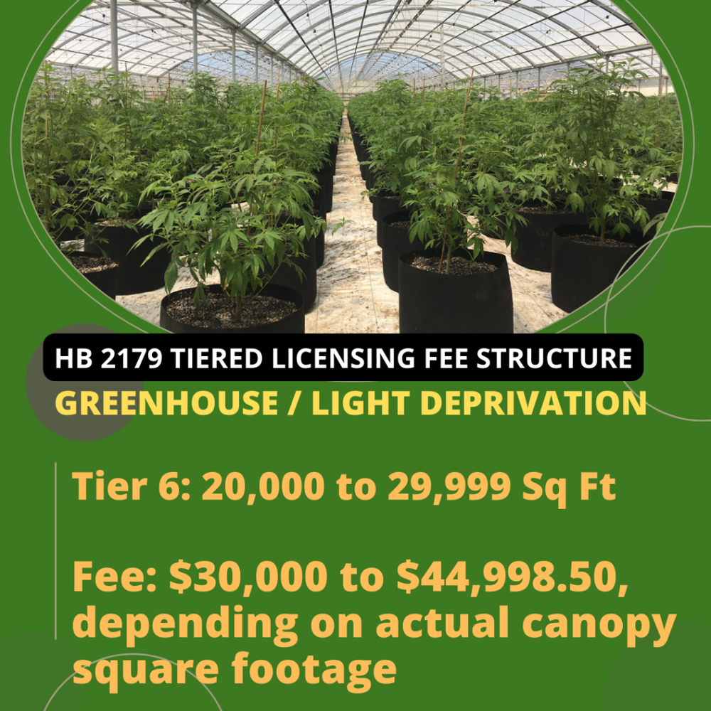Greenhouse-Grower-Tier-6-Oklahoma-Medical-Marijuana-Attorney-Stephen-Cale-Law-Office-1024x1024.png