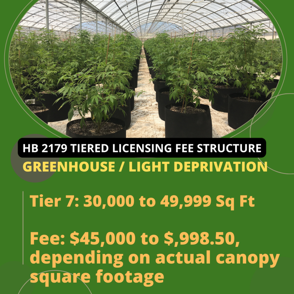 Greenhouse-Grower-Tier-7-Oklahoma-Medical-Marijuana-Attorney-Stephen-Cale-Law-Office-1024x1024.png