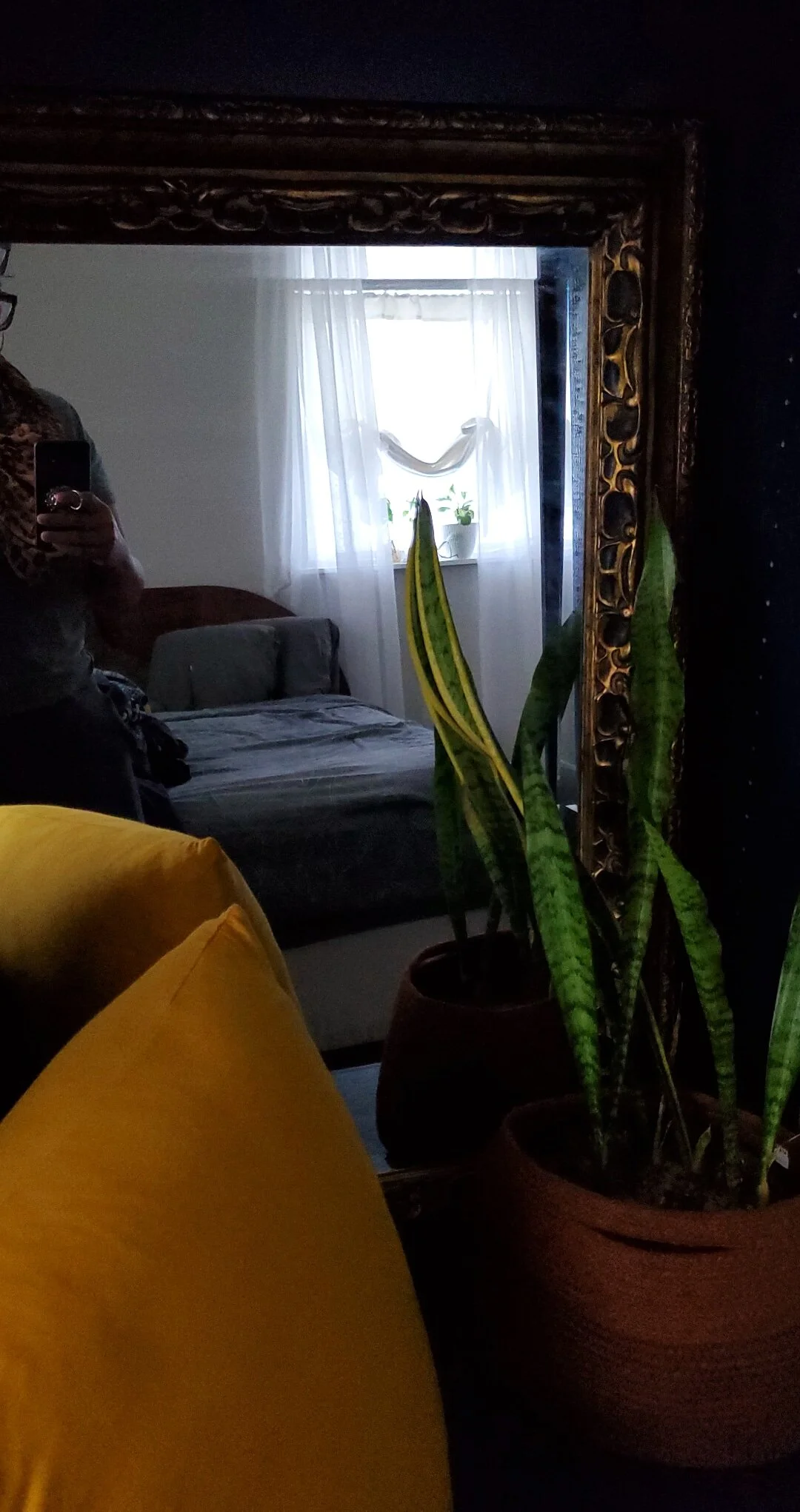 Essential Oils: Forest Collection