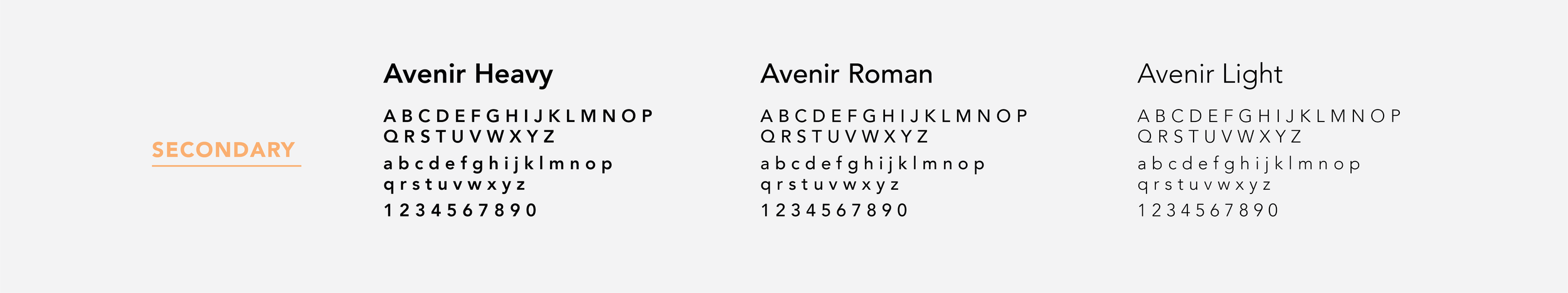 BRANDING-02.png