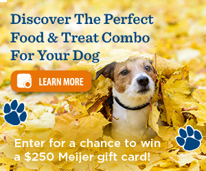 JMS-Nature's Recipe-Meijer_banner_V4_300 x 250_V3 2.png