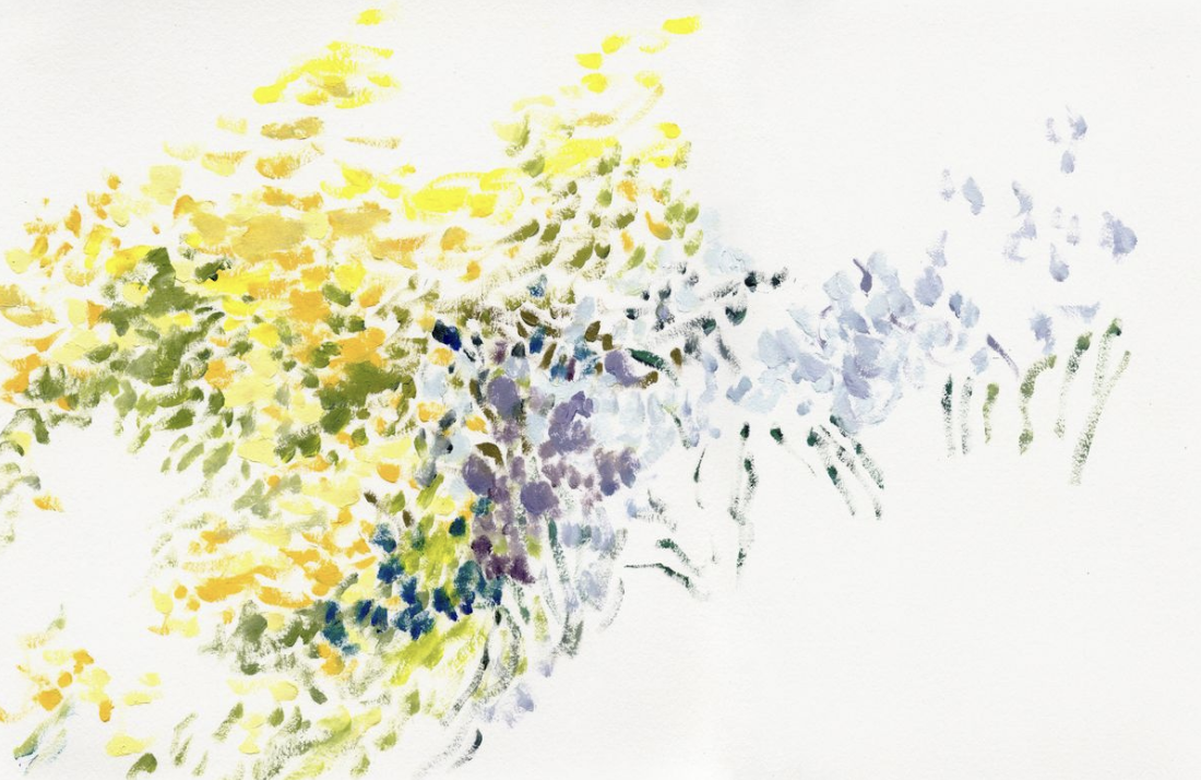 CopyrightCarolynMisterek_FieldwithIrises.png