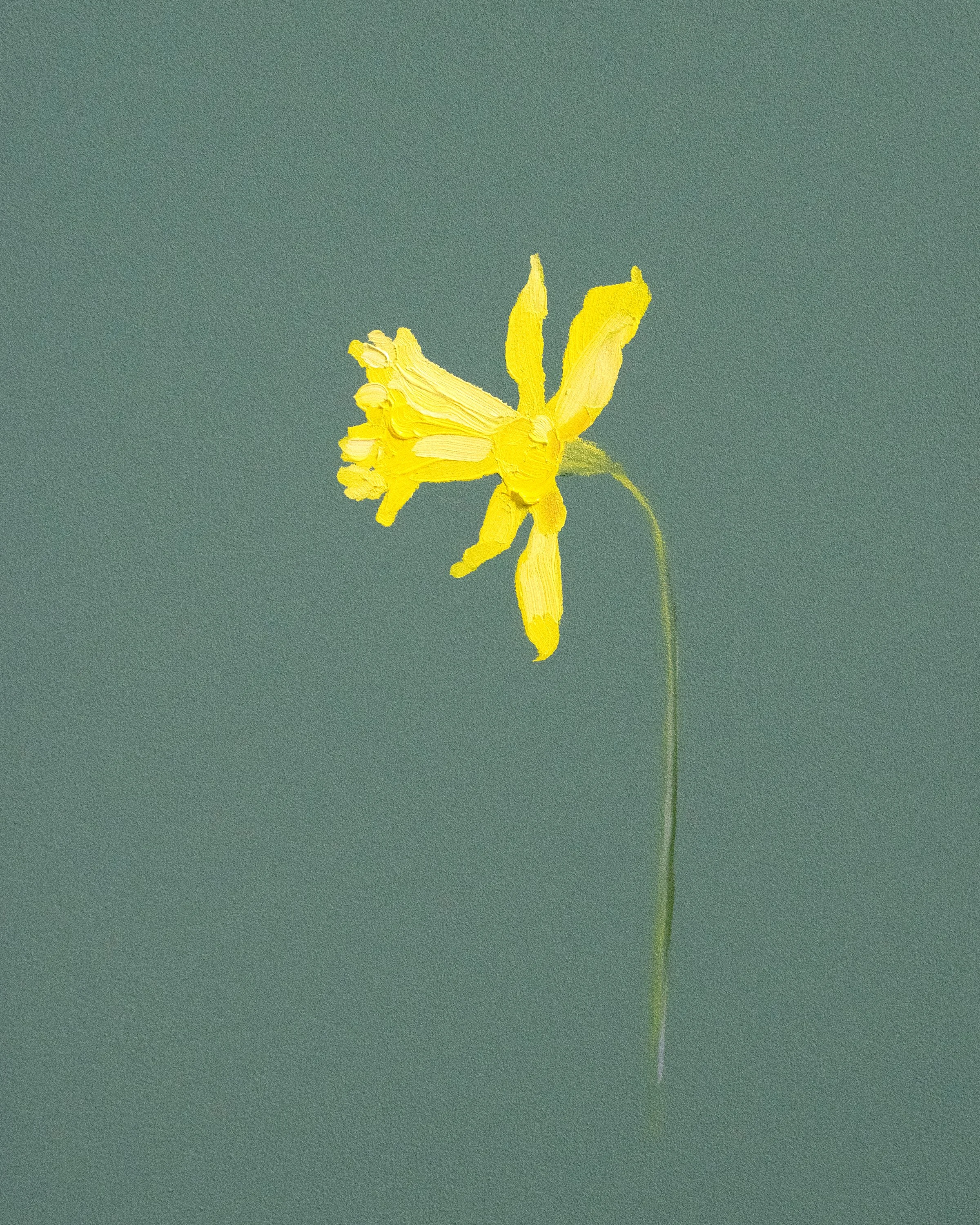 FEB_daffodil.jpg