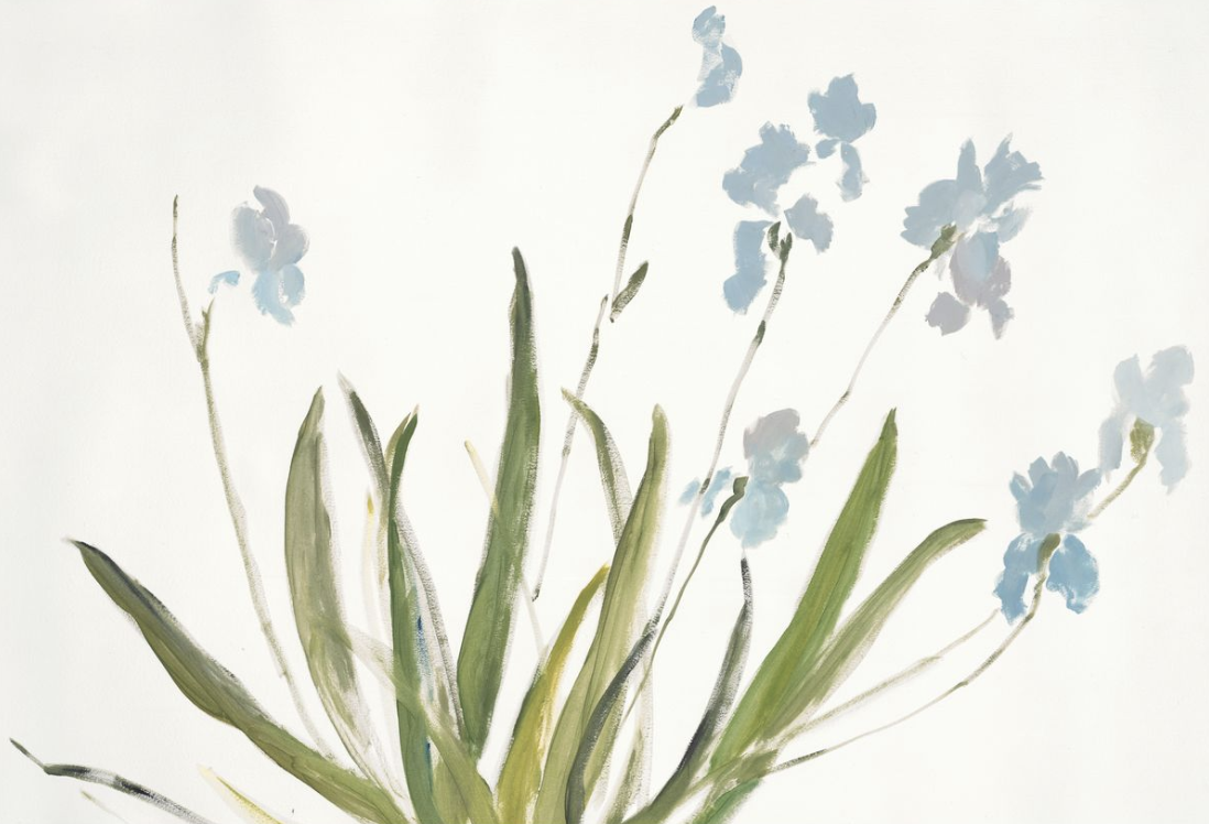 CopyrightCarolynMisterek_TheBlueIrises.png