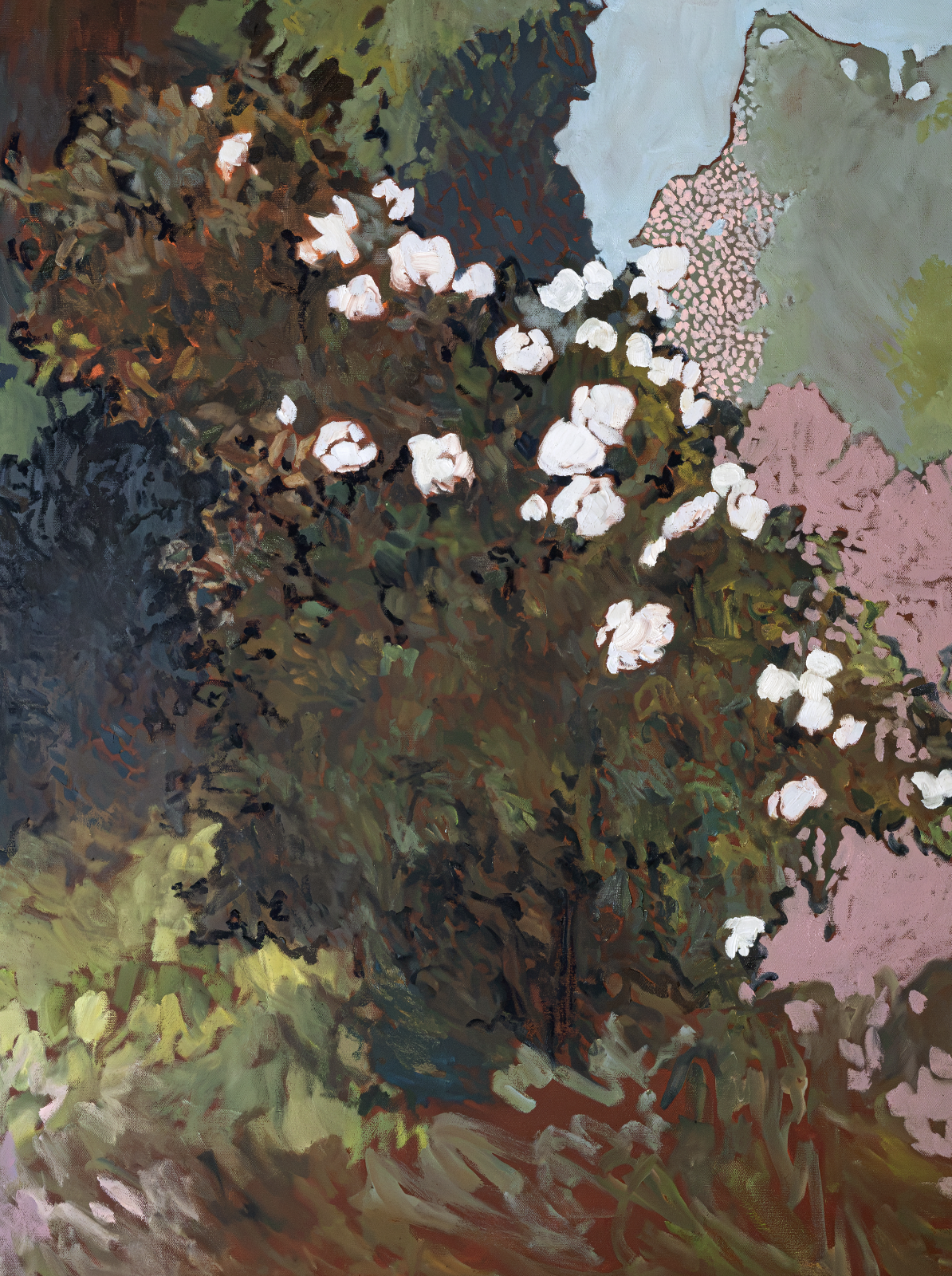 CopyrightCarolynMisterek2026_roses.png