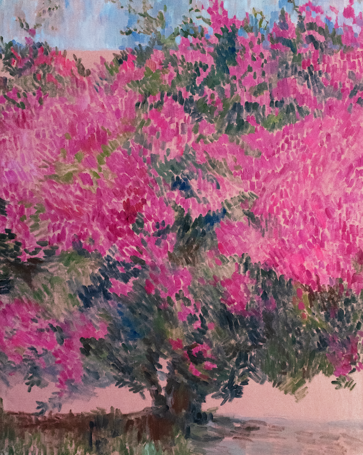 copyrightCarolynMisterek_25bougainvillea.png