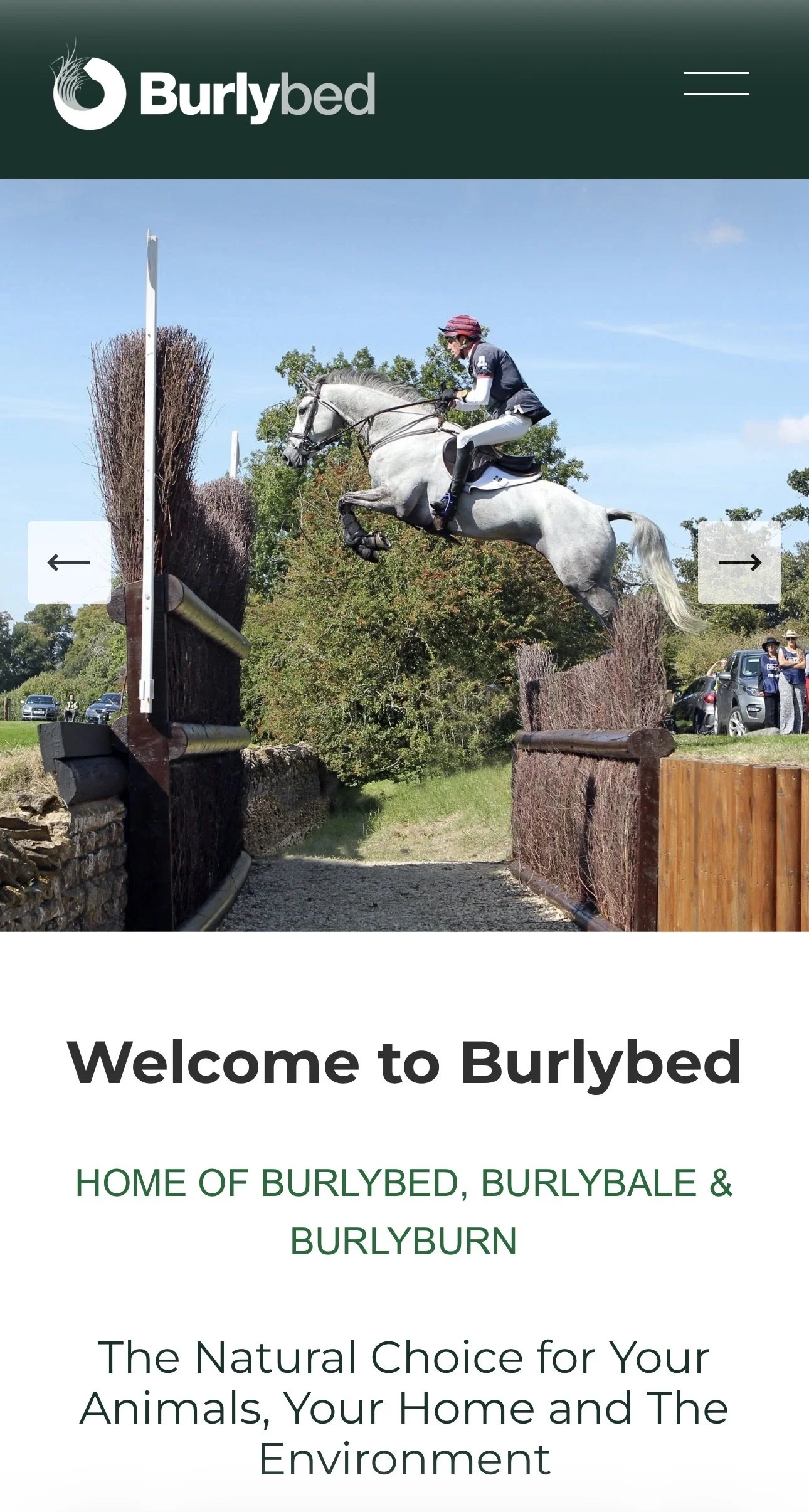 Refresh and Management of the Burlybed website and online shop