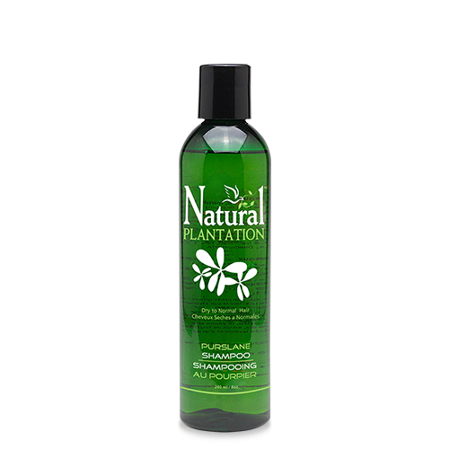 Purslane Shampoo