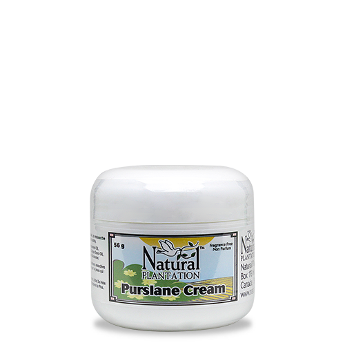 Purslane Cream (56g) - SHIPPING ONLY TO CANADA